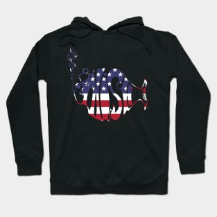 Phish American Hoodie